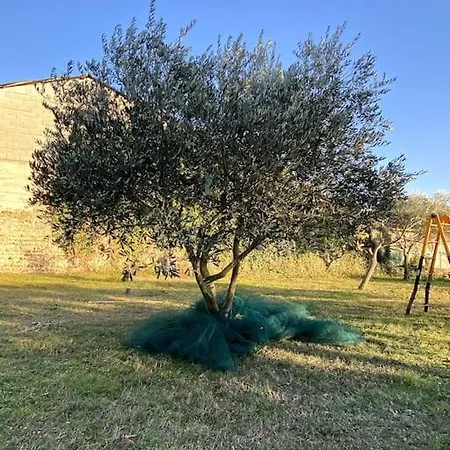 Nyaraló Mas En Drome Provencale Bouchet