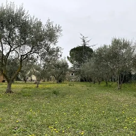 Mas En Drome Provencale * Bouchet